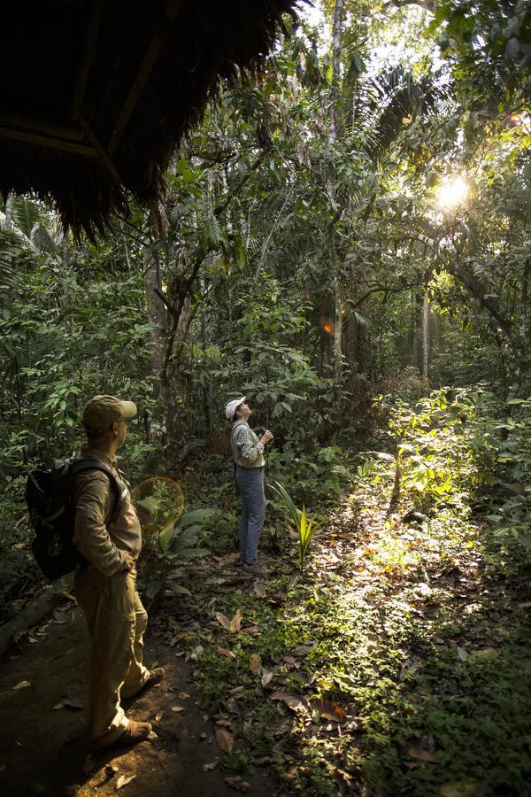 Хостел Amazon Field Station Byinkaterra Пуэрто-Мальдонадо Экстерьер фото